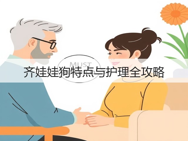 齐娃娃狗特点与护理全攻略(图1)