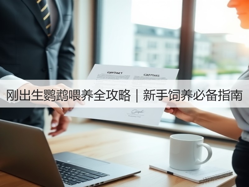 刚出生鹦鹉喂养全攻略｜新手饲养必备指南