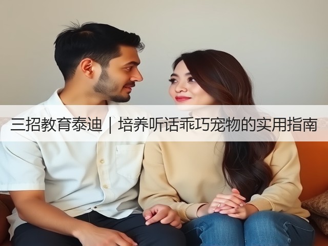 三招教育泰迪|培养听话乖巧宠物的实用指南(图3) 三招教育泰迪|培养听话乖巧宠物的实用指南(图3)