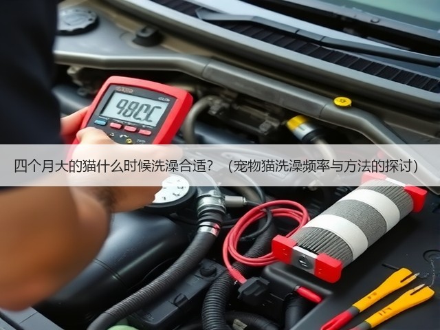 四个月大的猫什么时候洗澡合适?(宠物猫洗澡频率与方法的探讨)(图3) 四个月大的猫什么时候洗澡合适?(宠物猫洗澡频率与方法的探讨)(图3)