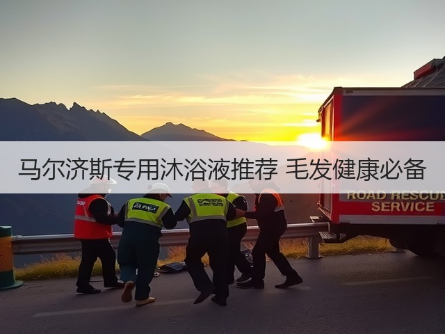 马尔济斯专用沐浴液推荐 毛发健康必备(图2) 马尔济斯专用沐浴液推荐 毛发健康必备(图2)