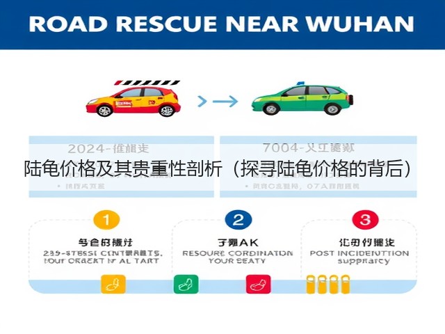 陆龟价格及其贵重性剖析(探寻陆龟价格的背后)(图2) 陆龟价格及其贵重性剖析(探寻陆龟价格的背后)(图2)