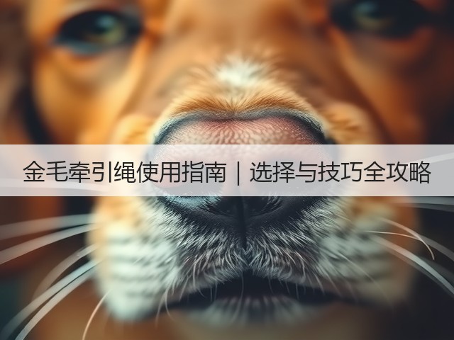 金毛牵引绳使用指南|选择与技巧全攻略(图3) 金毛牵引绳使用指南|选择与技巧全攻略(图3)