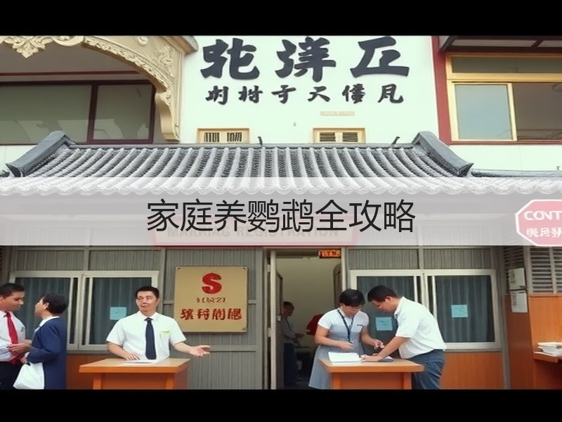 家庭养鹦鹉全攻略