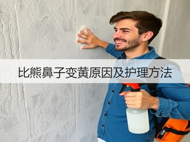 比熊鼻子变黄原因及护理方法(图3) 比熊鼻子变黄原因及护理方法(图3)