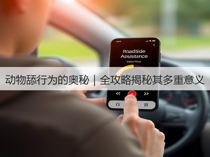 动物舔行为的奥秘｜全攻略揭秘其多重意义