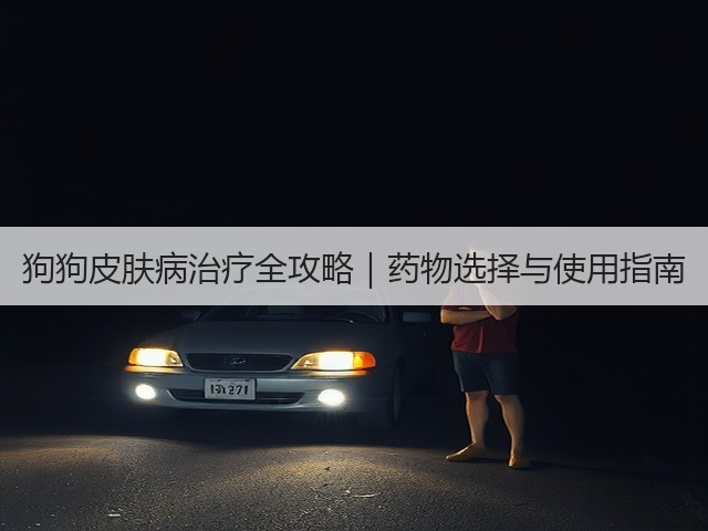 狗狗皮肤病治疗全攻略|药物选择与使用指南(图3) 狗狗皮肤病治疗全攻略|药物选择与使用指南(图3)