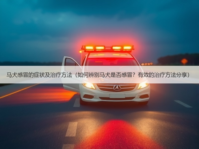 马犬感冒的症状及治疗方法（如何辨别马犬是否感冒？有效的治疗方法分享）