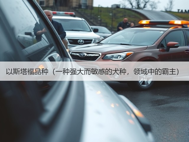 以斯塔福品种(一种强大而敏感的犬种,领域中的霸主)(图3) 以斯塔福品种(一种强大而敏感的犬种,领域中的霸主)(图3)