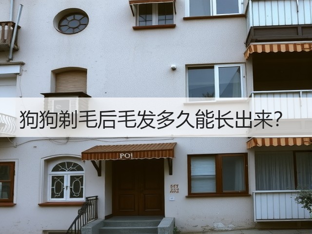 狗狗剃毛后毛发多久能长出来?(图1) 狗狗剃毛后毛发多久能长出来?(图1)