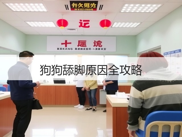 狗狗舔脚原因全攻略(图3) 狗狗舔脚原因全攻略(图3)