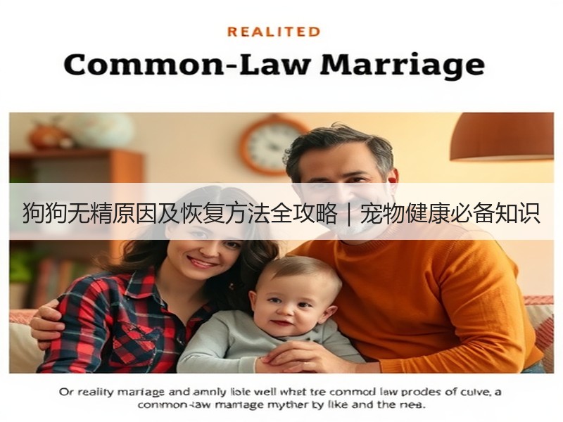 狗狗无精原因及恢复方法全攻略｜宠物健康必备知识