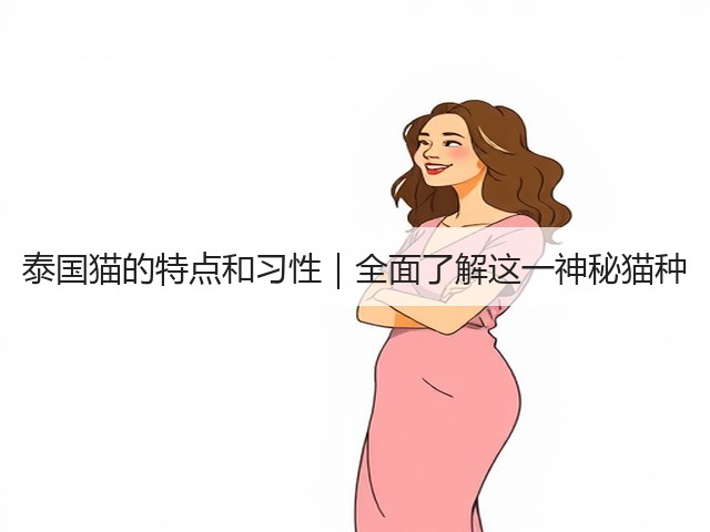 泰国猫的特点和习性|全面了解这一神秘猫种(图3) 泰国猫的特点和习性|全面了解这一神秘猫种(图3)