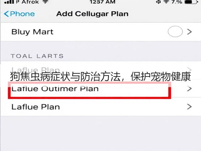 狗焦虫病症状与防治方法,保护宠物健康(图2) 狗焦虫病症状与防治方法,保护宠物健康(图2)