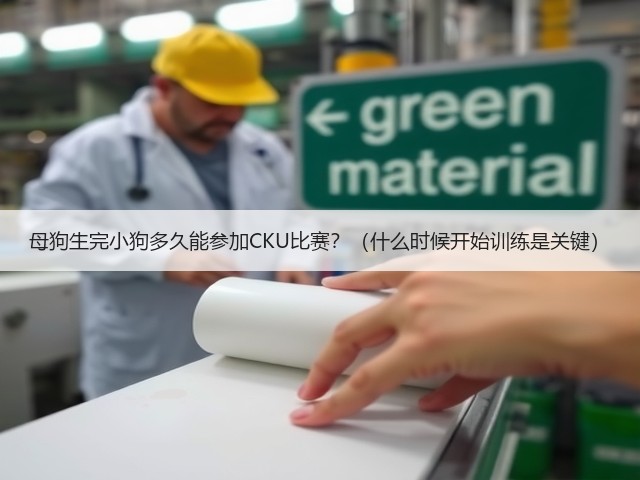 母狗生完小狗多久能参加CKU比赛?(什么时候开始训练是关键)(图1) 母狗生完小狗多久能参加CKU比赛?(什么时候开始训练是关键)(图1)
