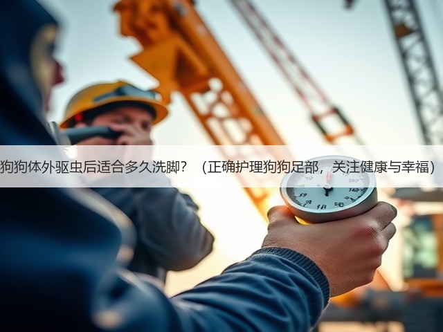 狗狗体外驱虫后适合多久洗脚?(正确护理狗狗足部,关注健康与幸福)(图1) 狗狗体外驱虫后适合多久洗脚?(正确护理狗狗足部,关注健康与幸福)(图1)