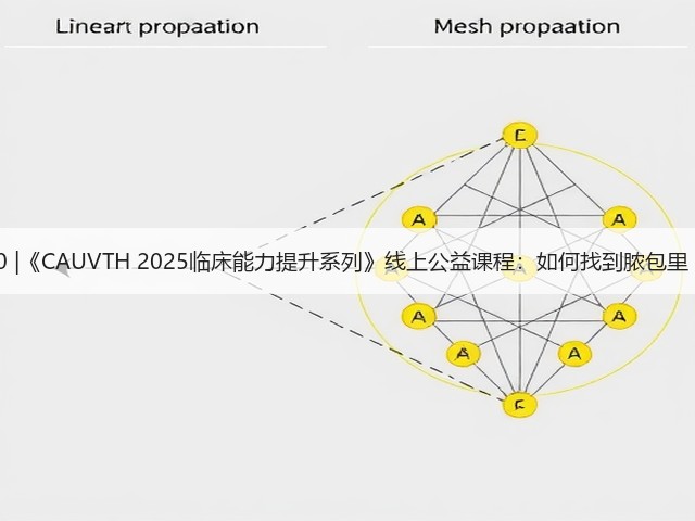12月30日19:00 |《CAUVTH 2025临床能力提升系列》线上公益课程:如何找到脓包里“飞来”的异物(图2) 12月30日19:00 |《CAUVTH 2025临床能力提升系列》线上公益课程:如何找到脓包里“飞来”的异物(图2)