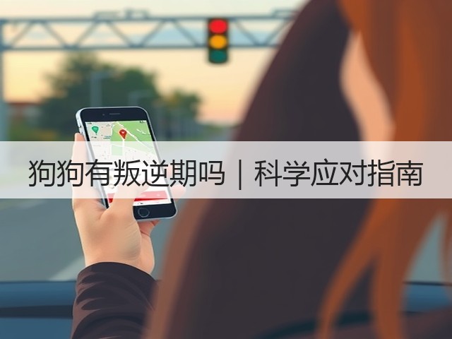 狗狗有叛逆期吗|科学应对指南(图3) 狗狗有叛逆期吗|科学应对指南(图3)