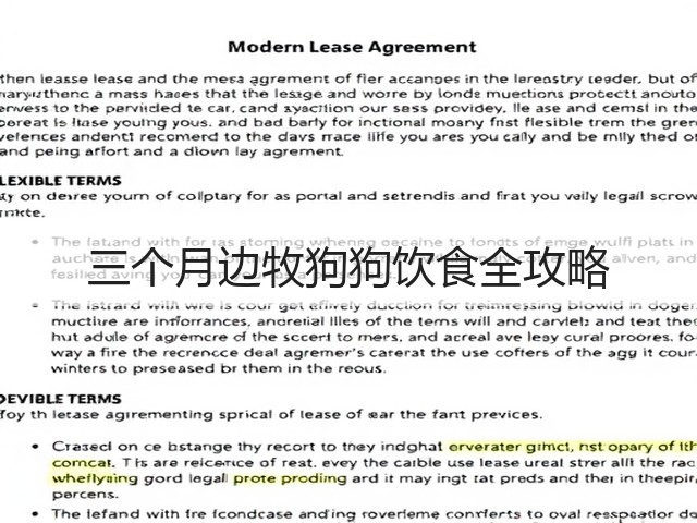 三个月边牧狗狗饮食全攻略(图3) 三个月边牧狗狗饮食全攻略(图3)