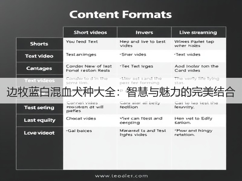 边牧蓝白混血犬种大全：智慧与魅力的完美结合