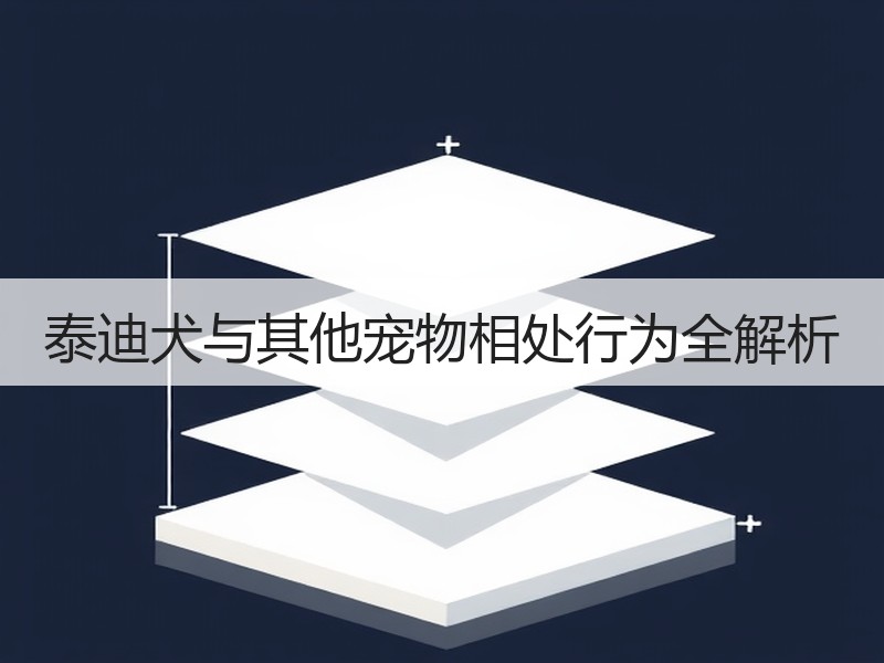 泰迪犬与其他宠物相处行为全解析