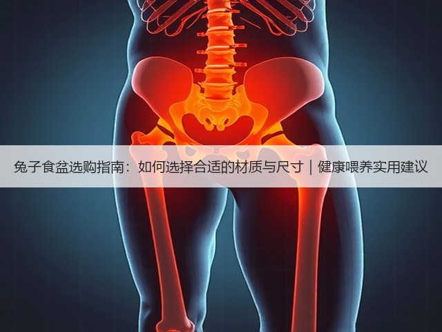 兔子食盆选购指南:如何选择合适的材质与尺寸|健康喂养实用建议(图2) 兔子食盆选购指南:如何选择合适的材质与尺寸|健康喂养实用建议(图2)