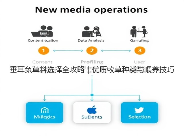 垂耳兔草料选择全攻略｜优质牧草种类与喂养技巧(图1)