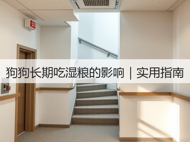 狗狗长期吃湿粮的影响｜实用指南(图3)