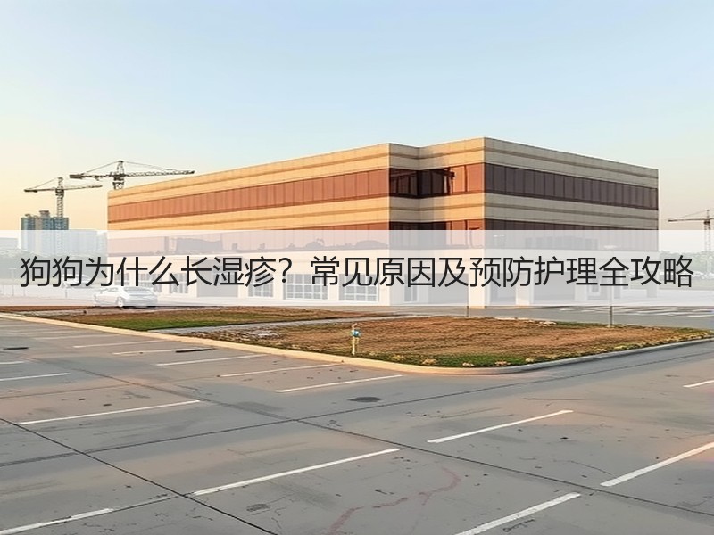 狗狗为什么长湿疹？常见原因及预防护理全攻略