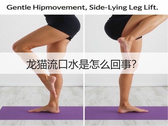 龙猫流口水是怎么回事?(图2) 龙猫流口水是怎么回事?(图2)