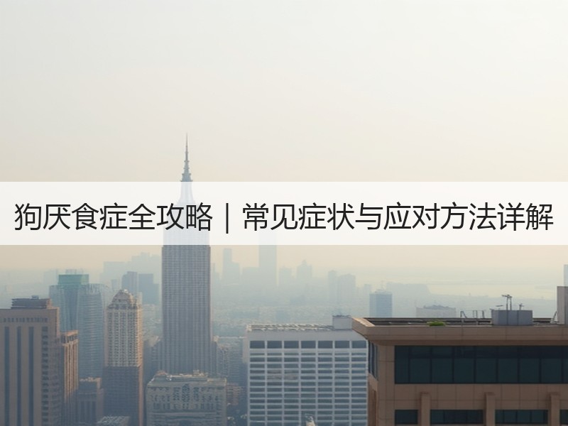 狗厌食症全攻略｜常见症状与应对方法详解