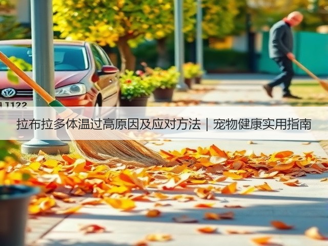 拉布拉多体温过高原因及应对方法|宠物健康实用指南(图1) 拉布拉多体温过高原因及应对方法|宠物健康实用指南(图1)