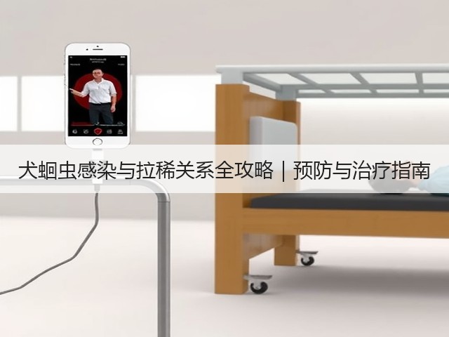 犬蛔虫感染与拉稀关系全攻略｜预防与治疗指南(图1)