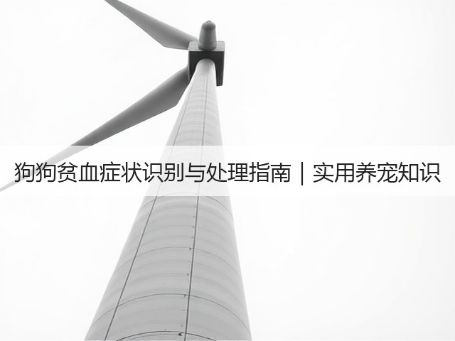 狗狗贫血症状识别与处理指南|实用养宠知识(图2) 狗狗贫血症状识别与处理指南|实用养宠知识(图2)