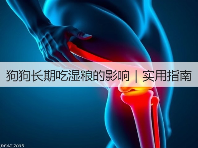 狗狗长期吃湿粮的影响｜实用指南(图2)