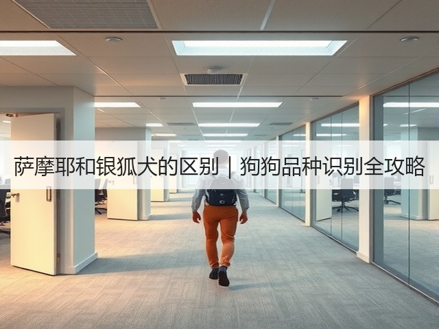 萨摩耶和银狐犬的区别|狗狗品种识别全攻略(图2) 萨摩耶和银狐犬的区别|狗狗品种识别全攻略(图2)