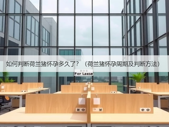 如何判断荷兰猪怀孕多久了?(荷兰猪怀孕周期及判断方法)(图2) 如何判断荷兰猪怀孕多久了?(荷兰猪怀孕周期及判断方法)(图2)
