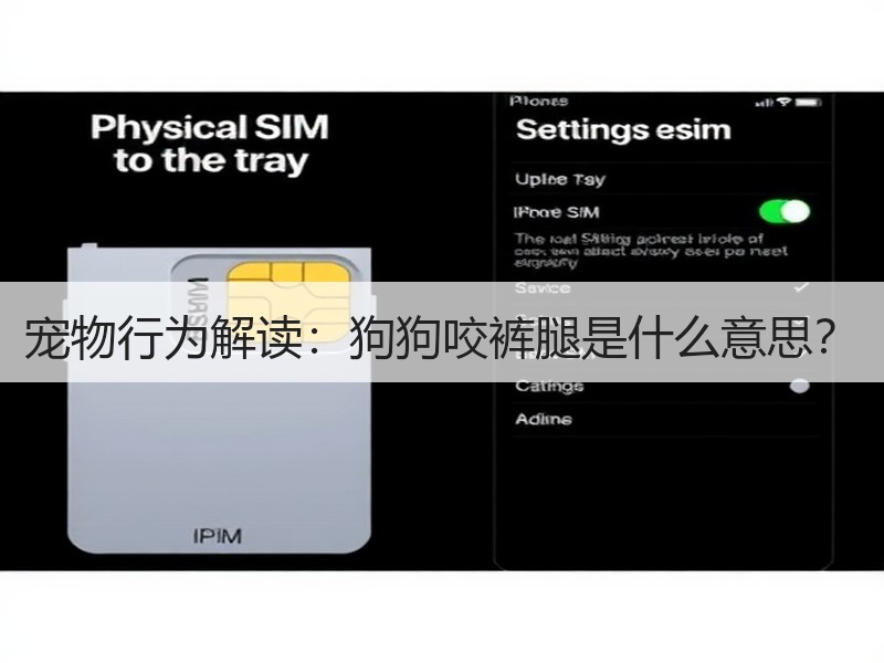宠物行为解读：狗狗咬裤腿是什么意思？