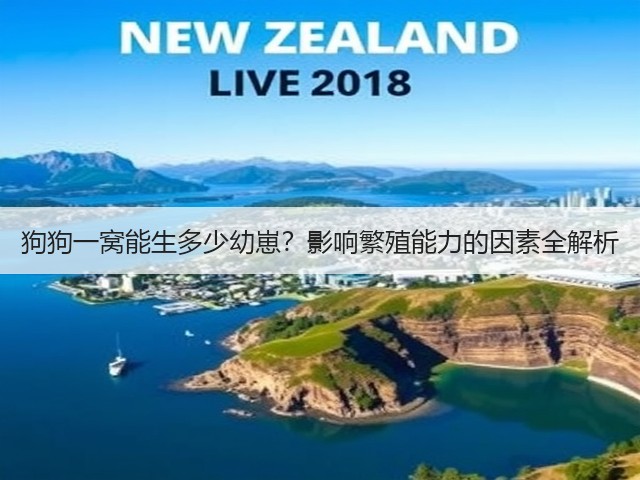 狗狗一窝能生多少幼崽?影响繁殖能力的因素全解析(图1) 狗狗一窝能生多少幼崽?影响繁殖能力的因素全解析(图1)