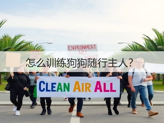 怎么训练狗狗随行主人?(图3) 怎么训练狗狗随行主人?(图3)