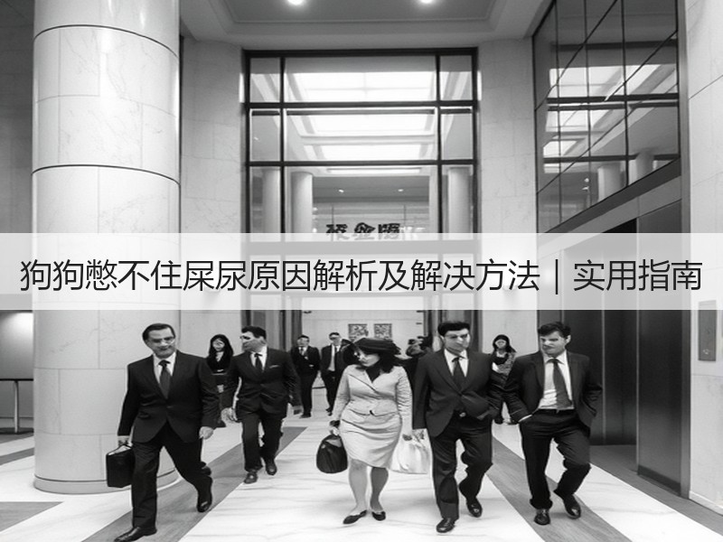 狗狗憋不住屎尿原因解析及解决方法｜实用指南