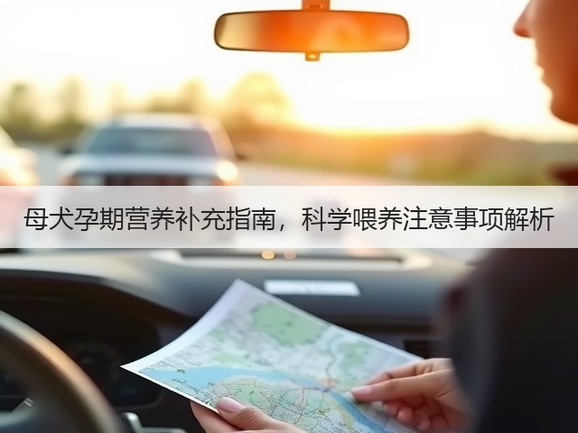 母犬孕期营养补充指南,科学喂养注意事项解析(图1) 母犬孕期营养补充指南,科学喂养注意事项解析(图1)