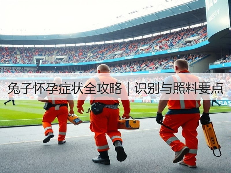 兔子怀孕症状全攻略｜识别与照料要点