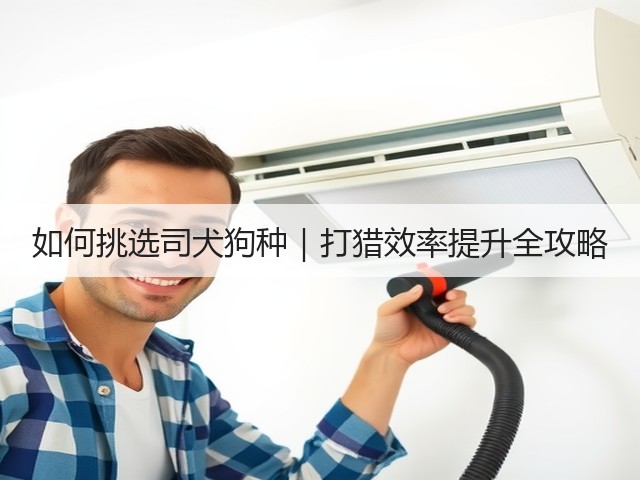 如何挑选司犬狗种|打猎效率提升全攻略(图1) 如何挑选司犬狗种|打猎效率提升全攻略(图1)