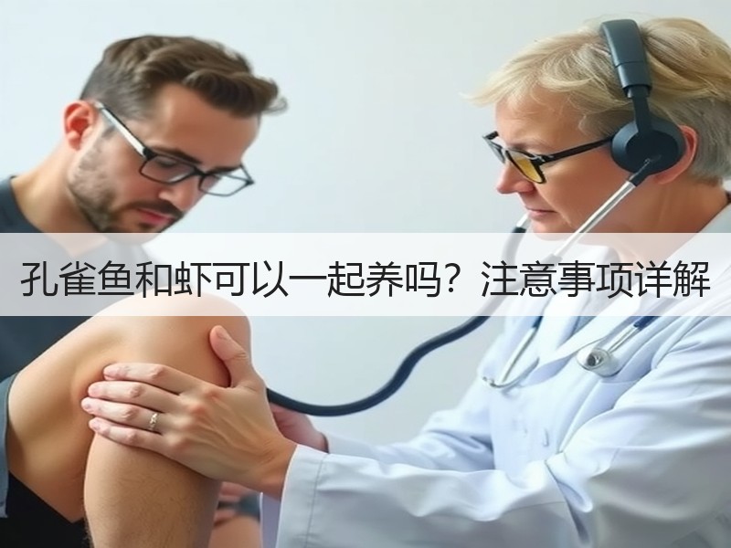 孔雀鱼和虾可以一起养吗？注意事项详解