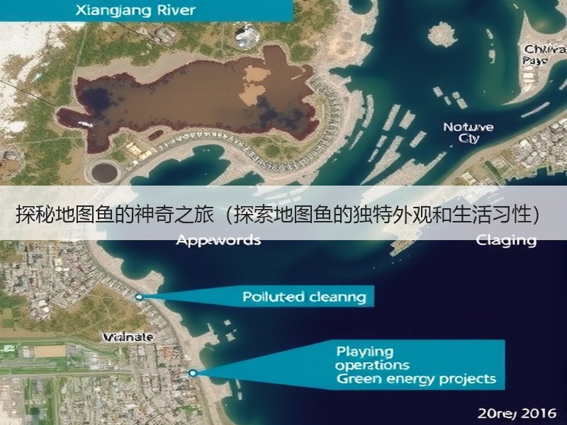 探秘地图鱼的神奇之旅（探索地图鱼的独特外观和生活习性）