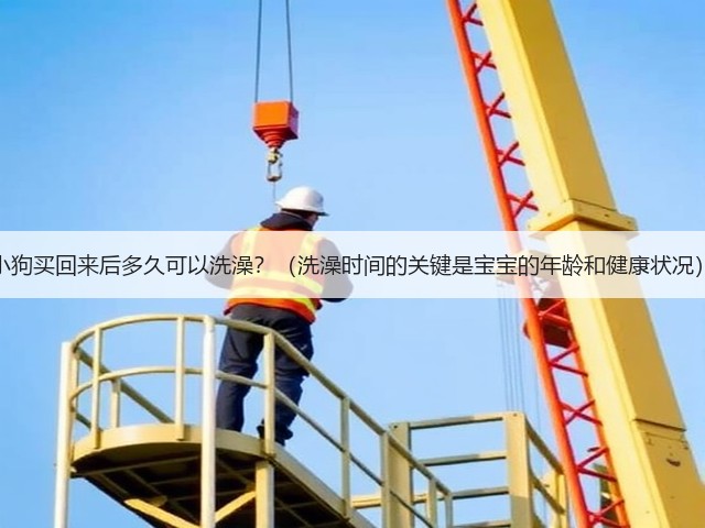 小狗买回来后多久可以洗澡?(洗澡时间的关键是宝宝的年龄和健康状况)(图3) 小狗买回来后多久可以洗澡?(洗澡时间的关键是宝宝的年龄和健康状况)(图3)