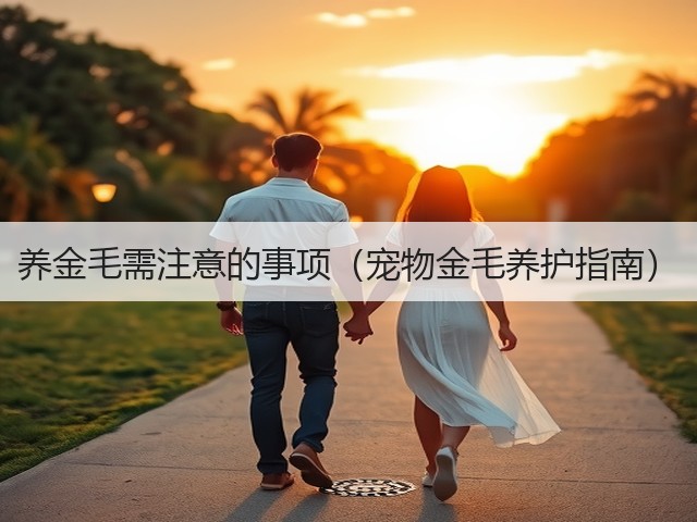 养金毛需注意的事项(宠物金毛养护指南)(图2) 养金毛需注意的事项(宠物金毛养护指南)(图2)