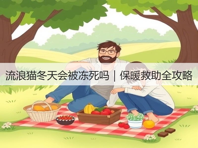 流浪猫冬天会被冻死吗｜保暖救助全攻略