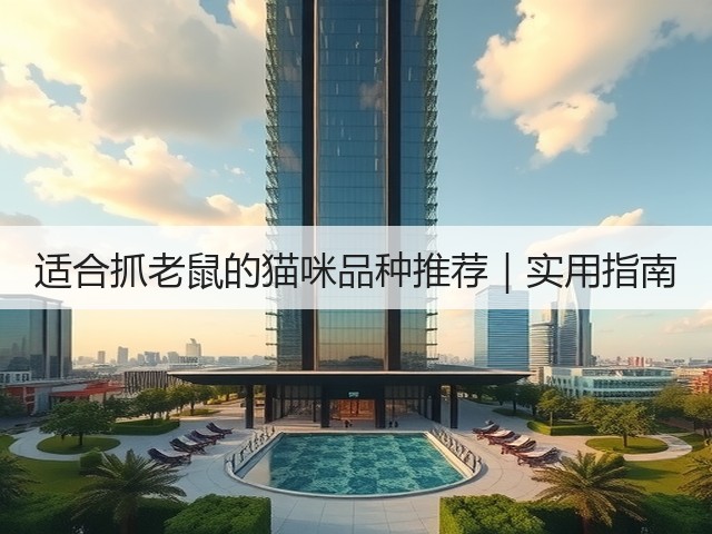 适合抓老鼠的猫咪品种推荐|实用指南(图2) 适合抓老鼠的猫咪品种推荐|实用指南(图2)